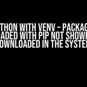 Python with venv – Packages downloaded with pip not showing up in “list” (downloaded in the system path…)